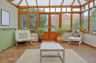 free Patmore Heath conservatory quotes